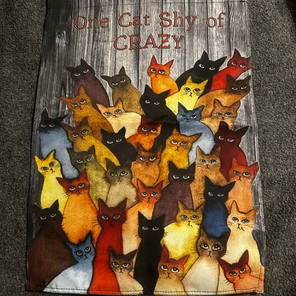 #1300 Colorful Cat Print Flag- Small